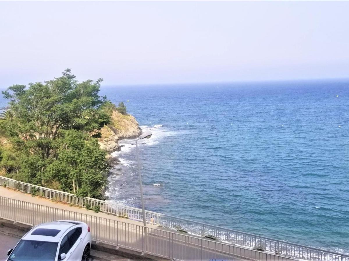 Appartement Banyuls-sur-Mer, 3 pièces, 4 personnes - FR-1-309-281 Esterno foto